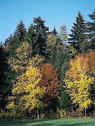 Aktivurlaub im Bayerischen Wald im Aufschwung